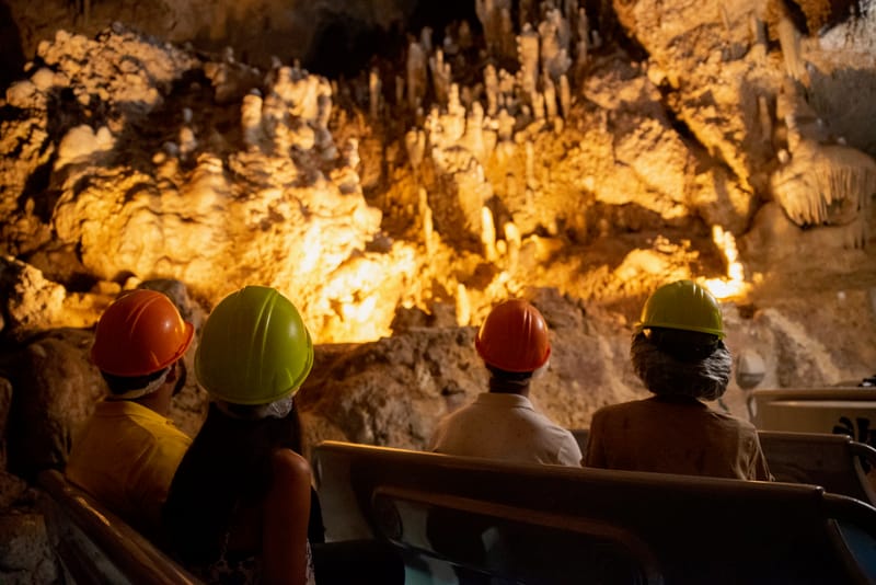 Explore Harrison's Cave