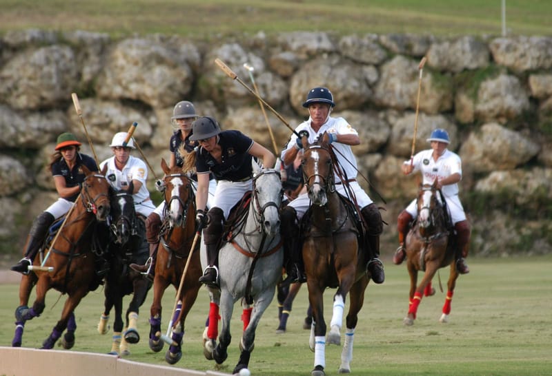 the Barbados Polo Club