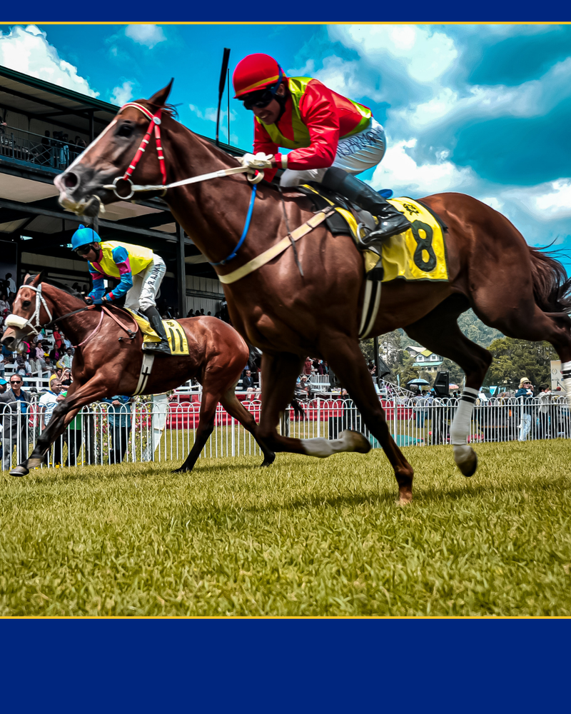 Beyond the 'Gold Cup' - Barbados Weekend 6th-8th 2026