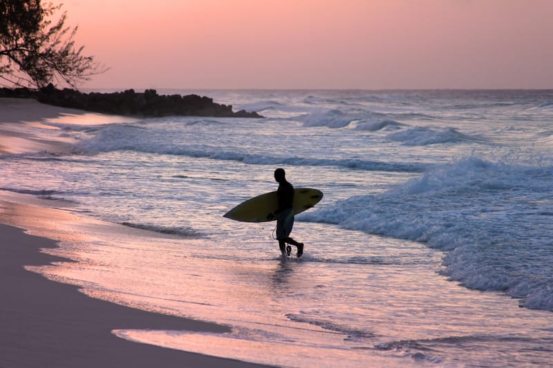 Surfing Lessons