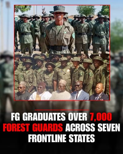 President Tinubu's Forest Guard Initiative kicks off, deploying over 7,000 specially trained personnel to deny criminals sanctuary in the nation's forests.