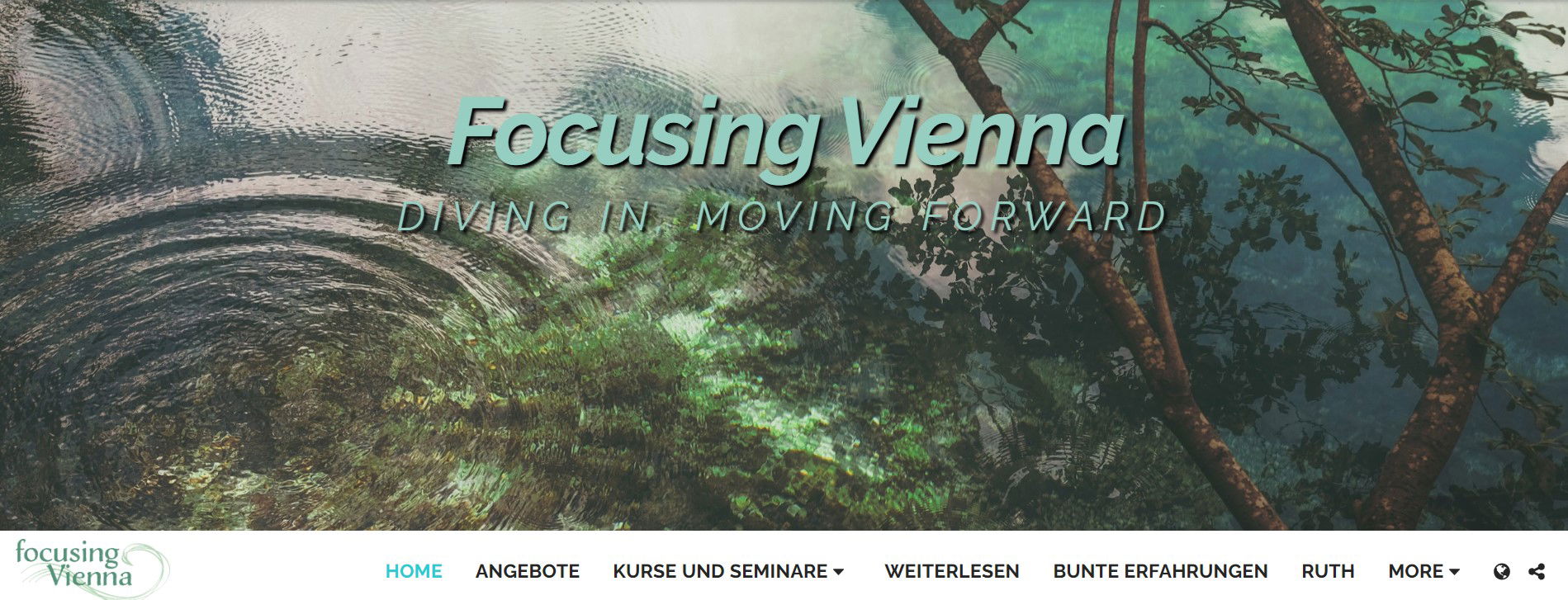 focusing vienna