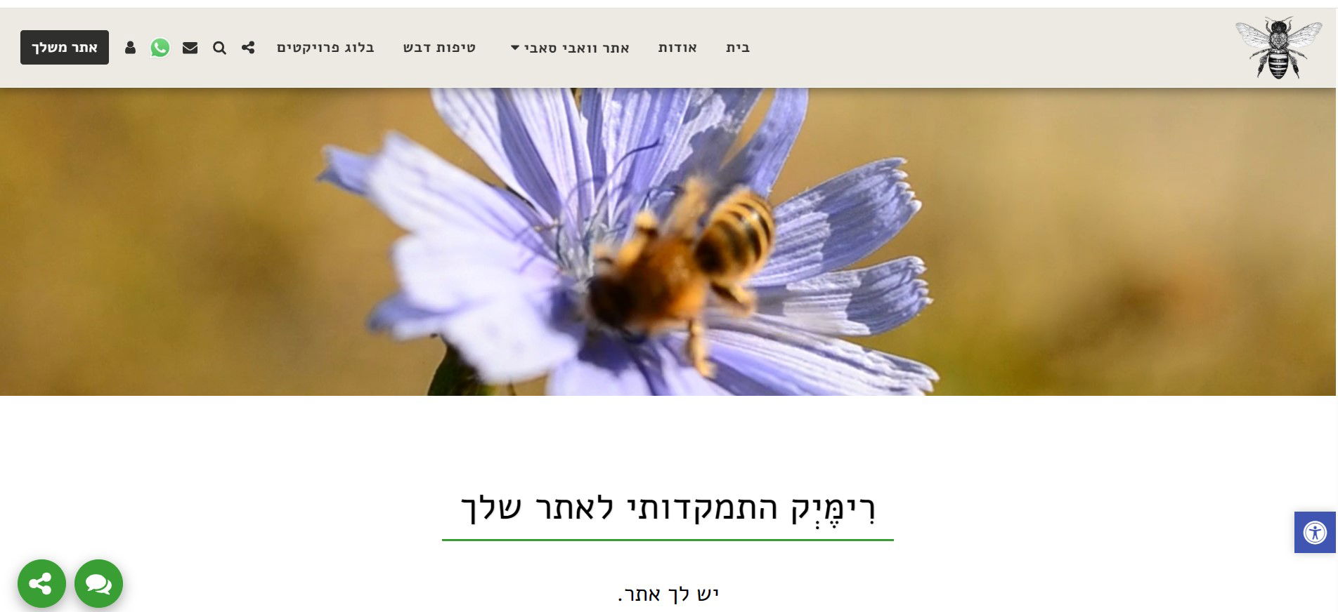 צוף דברים - רונית בר אילן, רעיונאית ממקדת ומפתחת תוכן