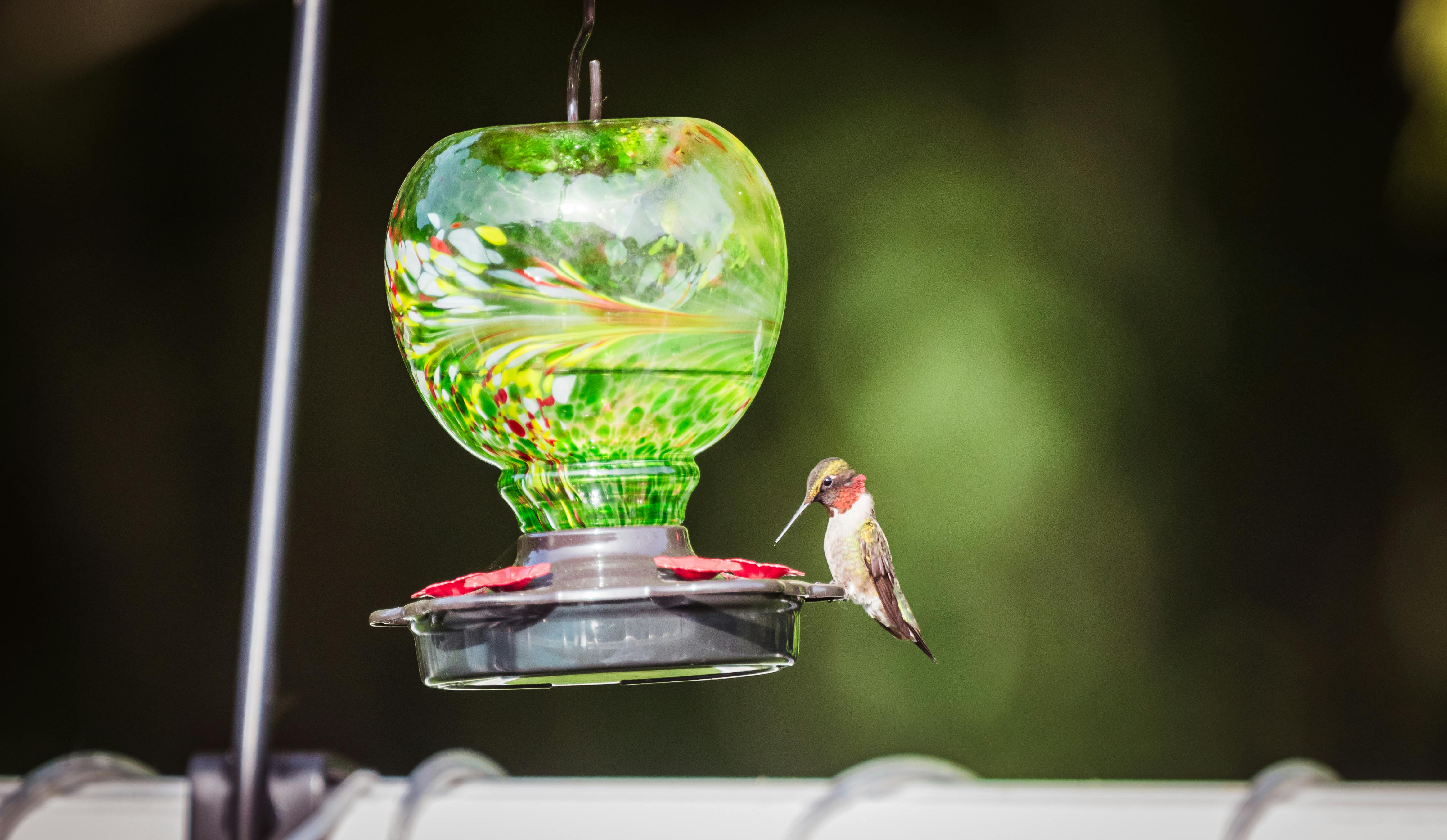 Perky-Pet Glass Hummingbird Feeder