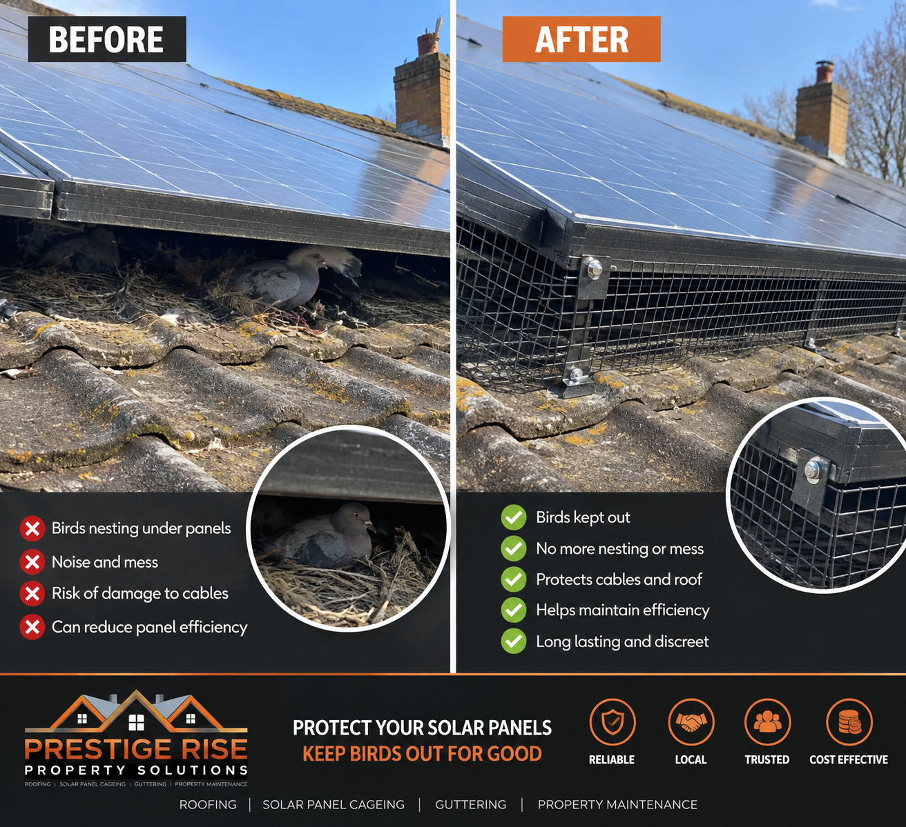 Solar panel bird proofing
