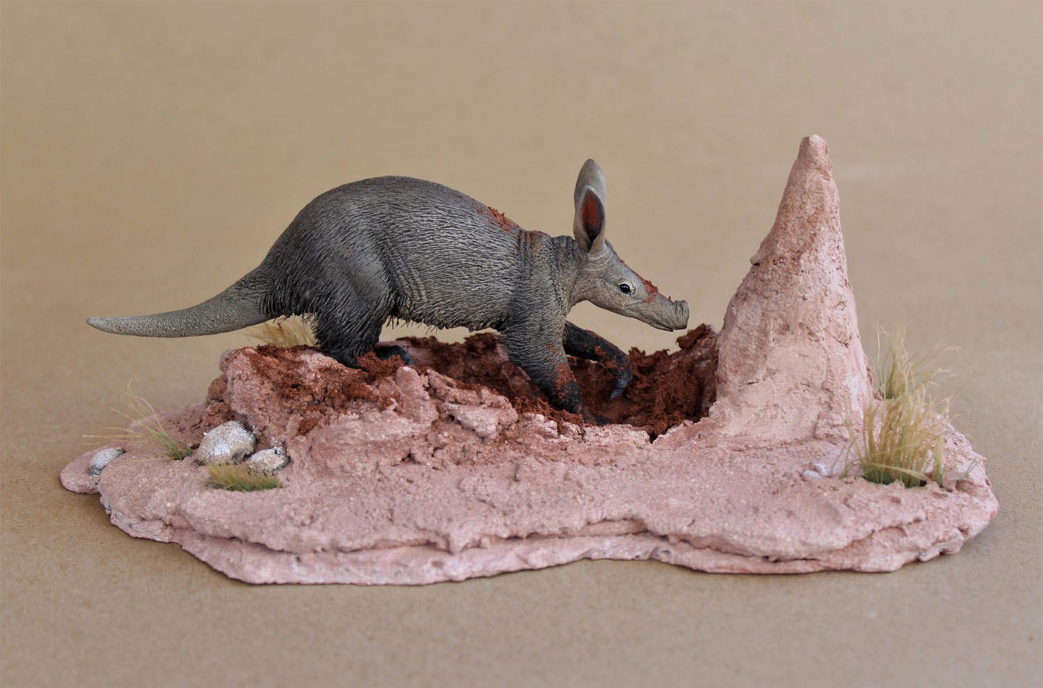 "ORYCTEROPUS"