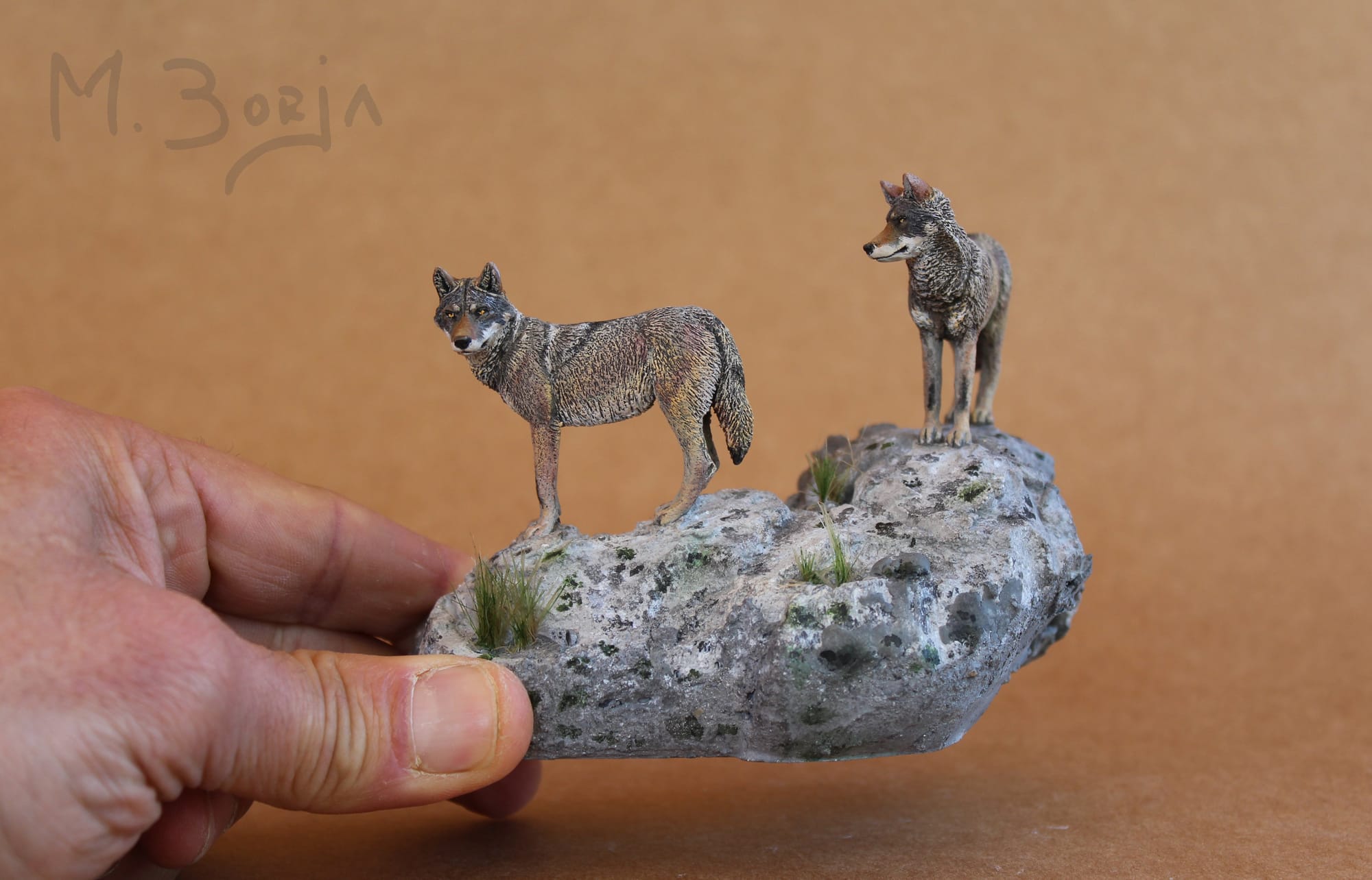 "LOBOS EN LA ROCA"