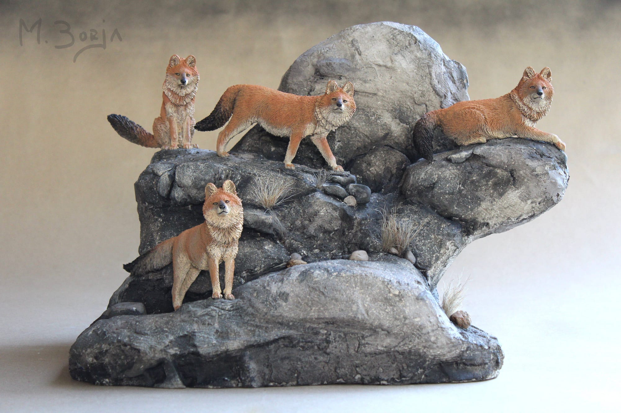 "CUON ALPINUS"