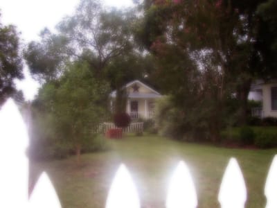 l’insurrection des consciences