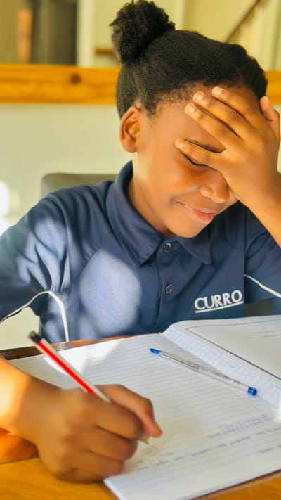 DLFA Weekly Feature: Fractions Through a New Lens