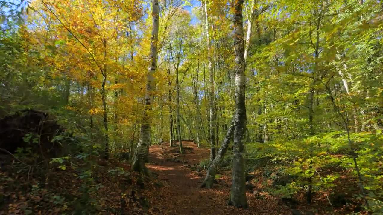 Gruppo Mobili Quattro Zeta srl Via Como, 8 - 20063 Cernusco sul Naviglio