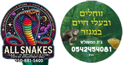 all snakes