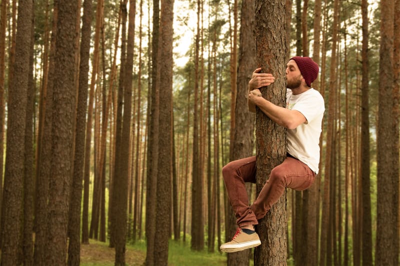 "Rencontre avec les Esprits de la Nature"