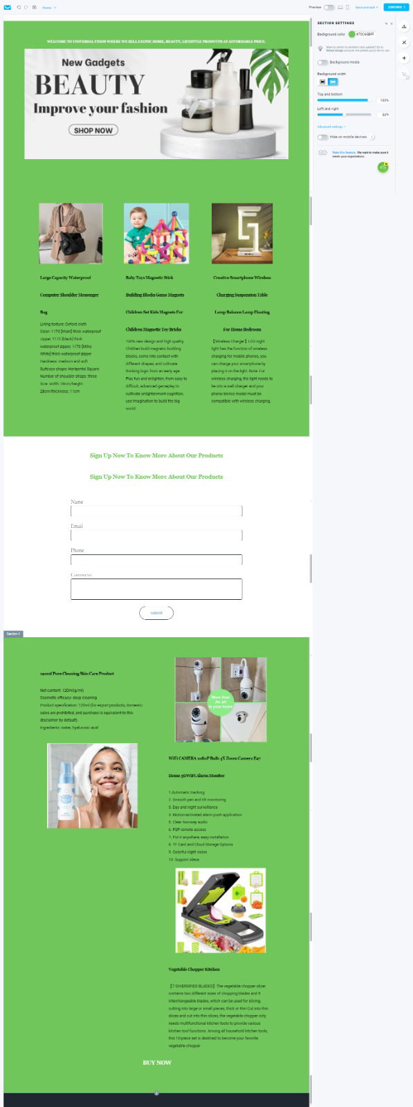 E-Commerce Store Design and Setup