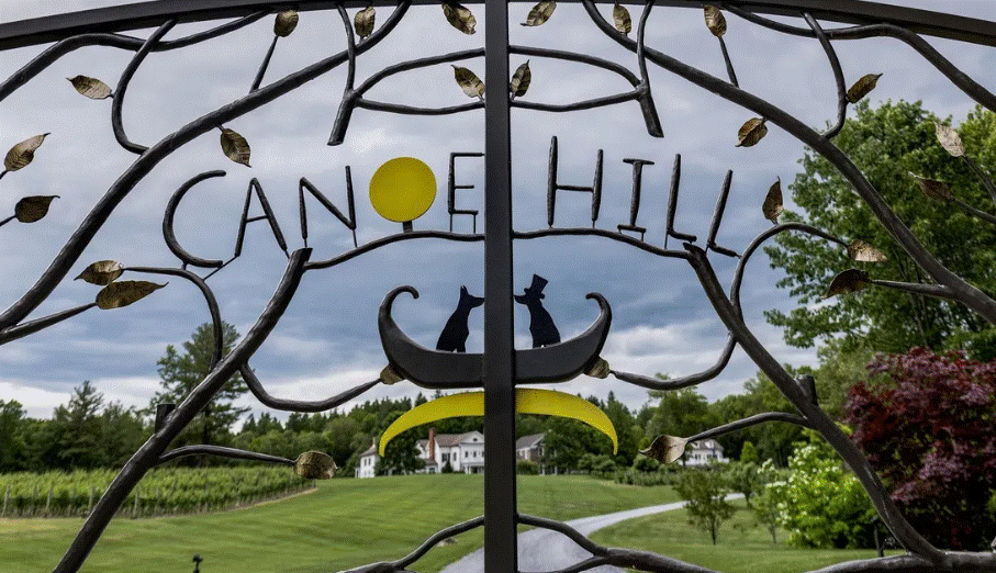 SPOTLIGHT - Luxury for Sale Millbrook