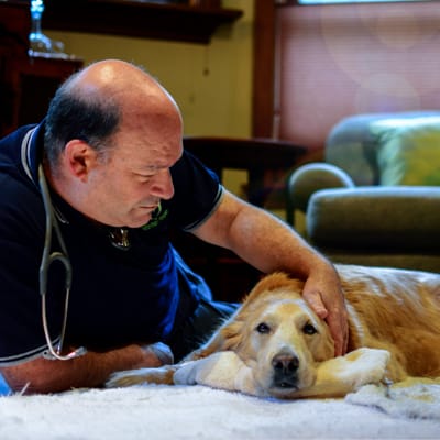 Does Euthanizing Your Pet at Home Reflect the Life You Shared?