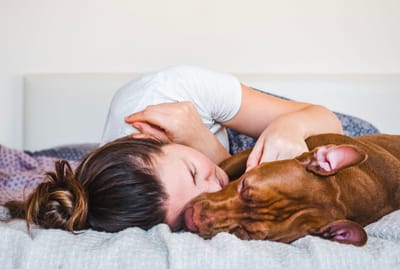 Why Dignified Pet End-of-Life Care Matters in Detroit