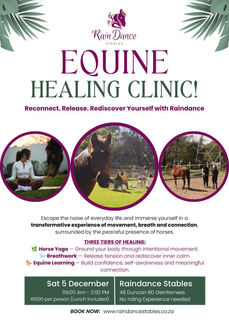 Equine Healing Clinic
