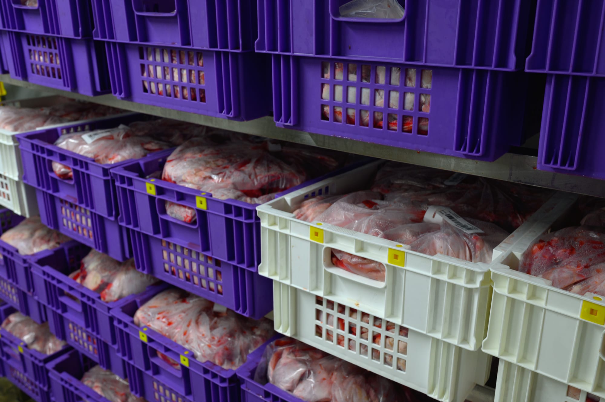 Understanding Export Regulations and Requirements for Agricultural Products from West Africa
