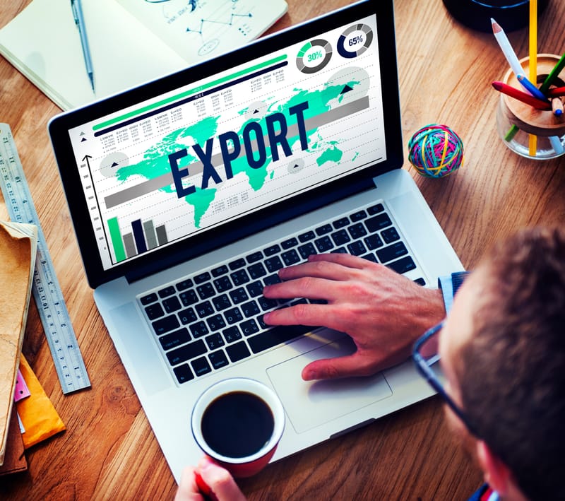 Export Enablement & Global Talent Recruitment