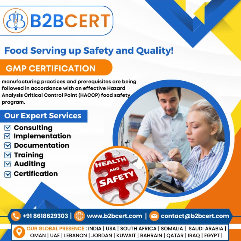 GMP Certification in Different Industries: A Comparative Analysis for Singapore Businesses