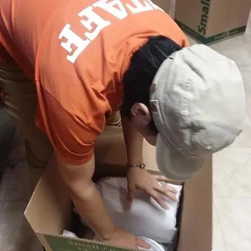 Packing &amp; unpacking Wrapping &amp; Unrapping