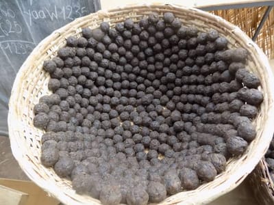 Production de Soumbala