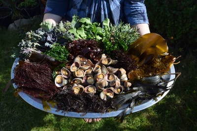The future of foraging