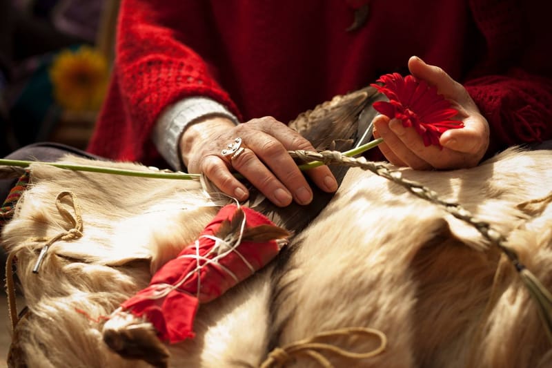 Let's make remedies for Spring- Allergies, Hayfever & more