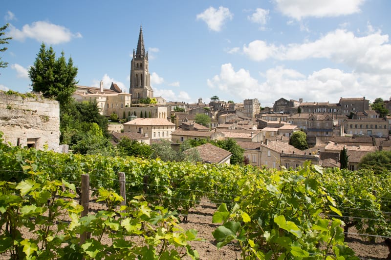 Wine Tour