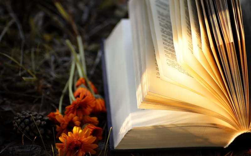 القصص الشعرية او الموزونة