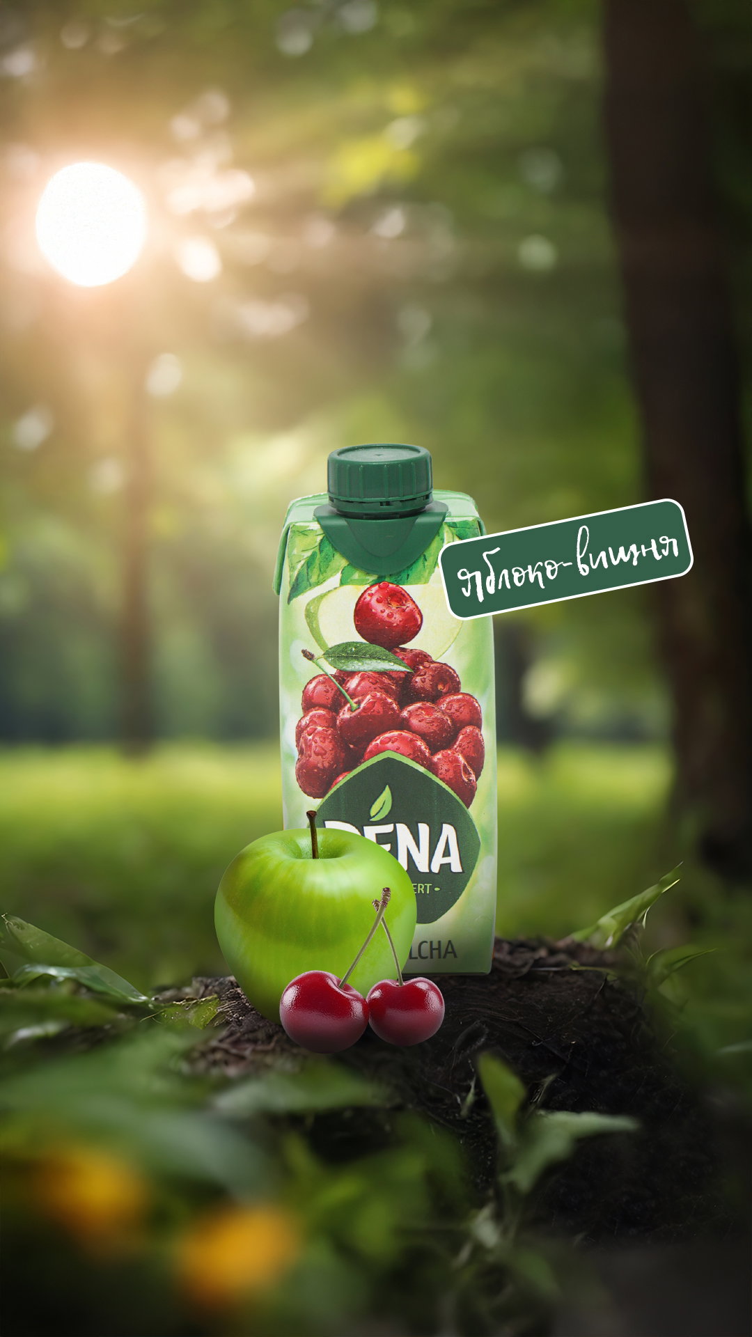 ФОТОГАЛЕРЕЯ