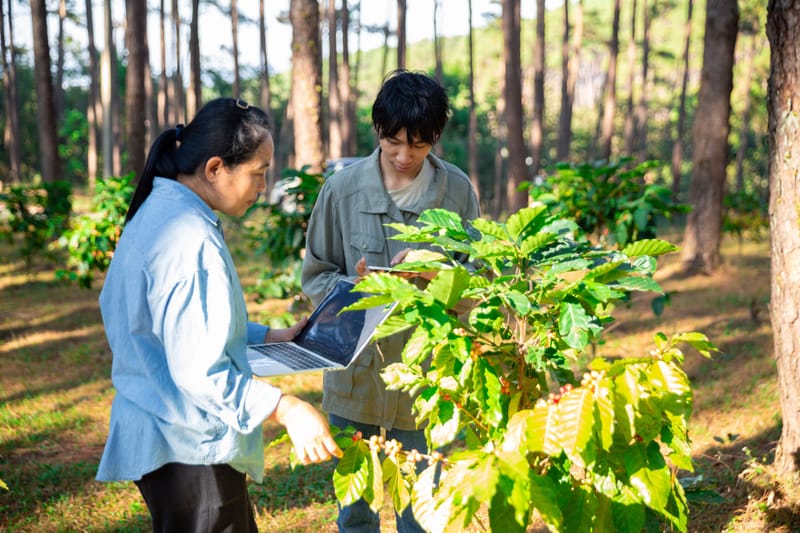 Exploatare Forestieră
