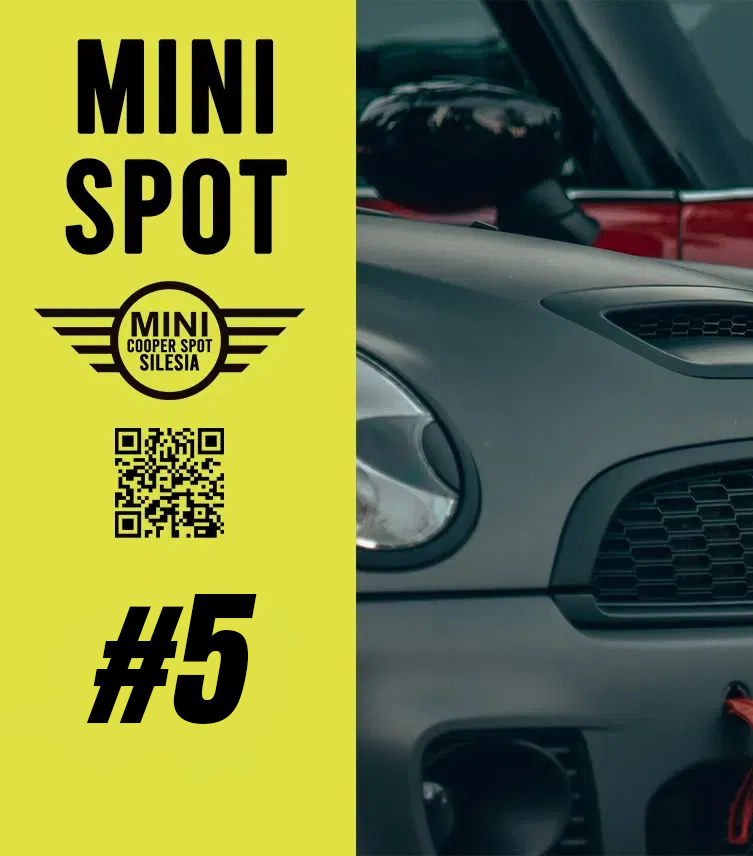 #5 Mini Spot