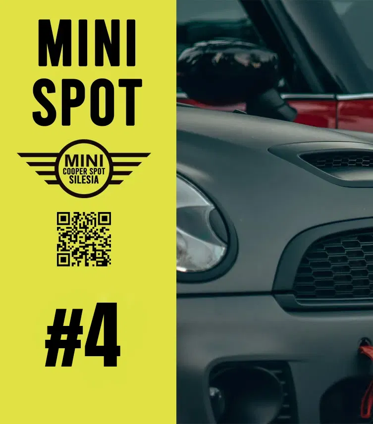 #4 Mini Spot