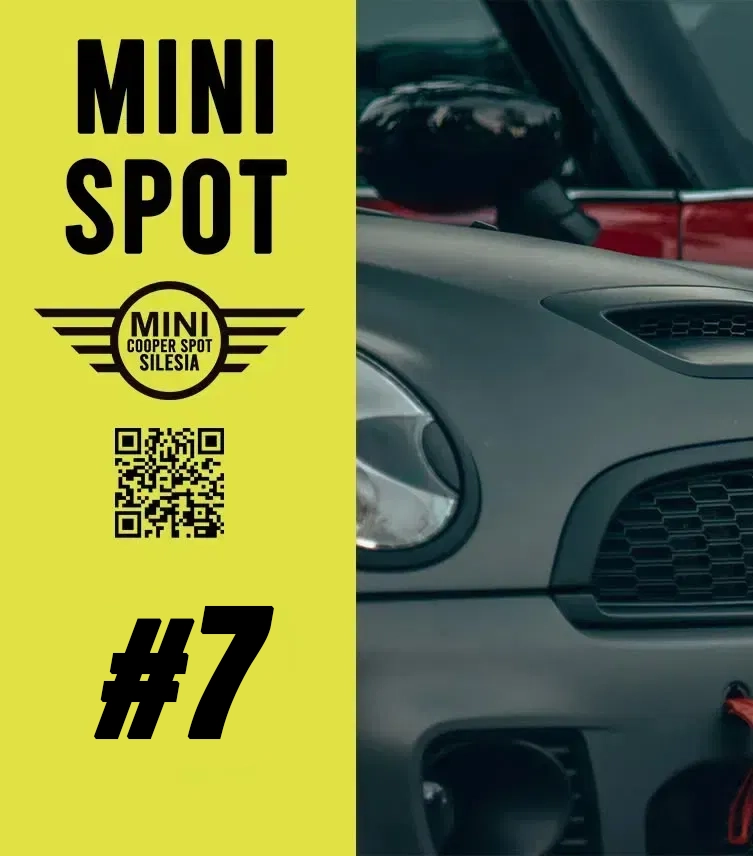 #7 Mini Spot