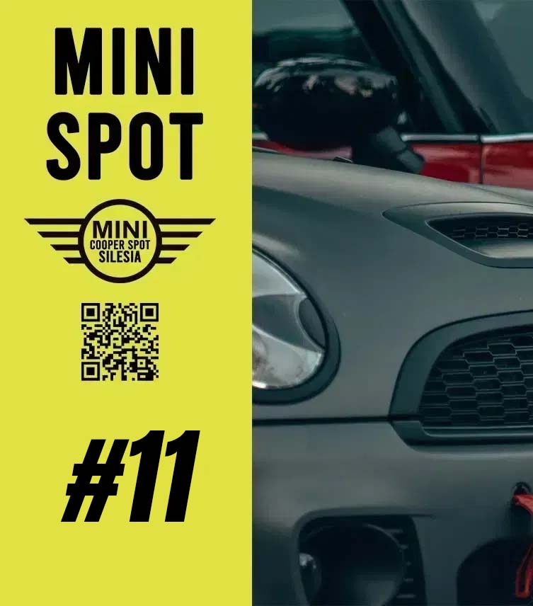 #11 Mini Spot