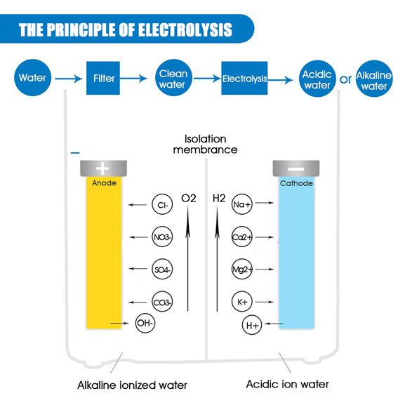 Water Electrolysis