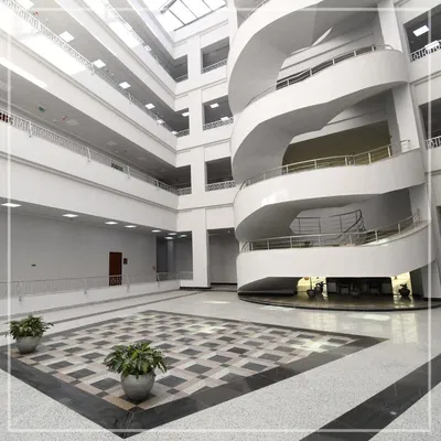 Faculty of Physical Therapy – Merit University