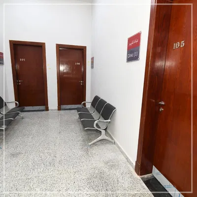 Faculty of Physical Therapy – Merit University