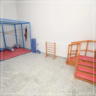 Faculty of Physical Therapy – Merit University