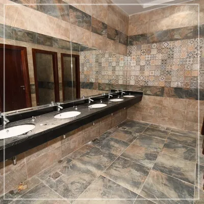 Faculty of Physical Therapy – Merit University