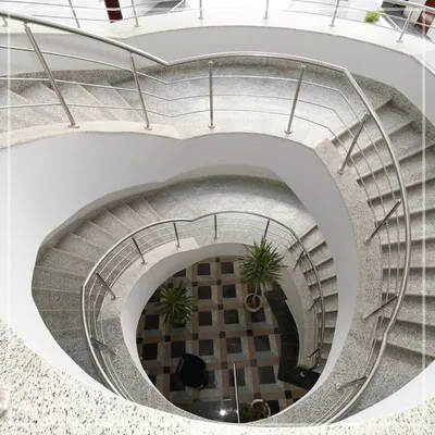 Faculty of Physical Therapy – Merit University