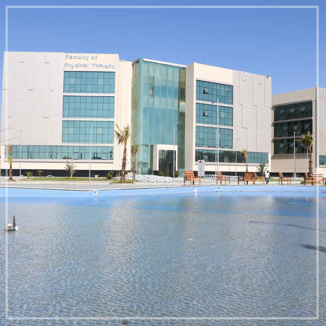 جامعة ميريت