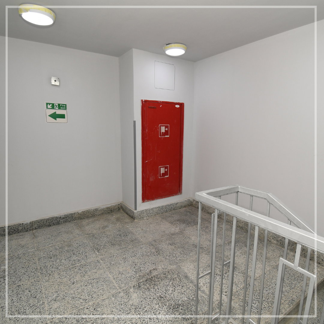 جامعة ميريت