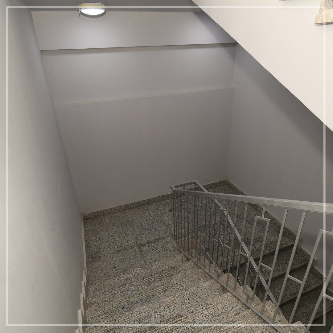 جامعة ميريت