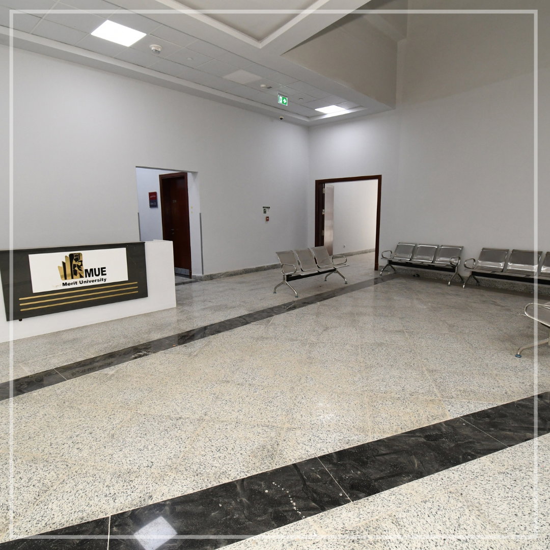 جامعة ميريت