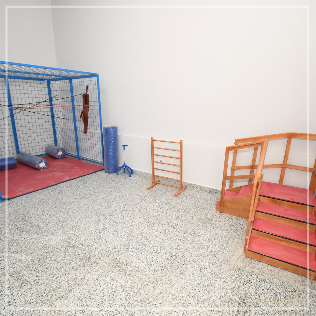 جامعة ميريت