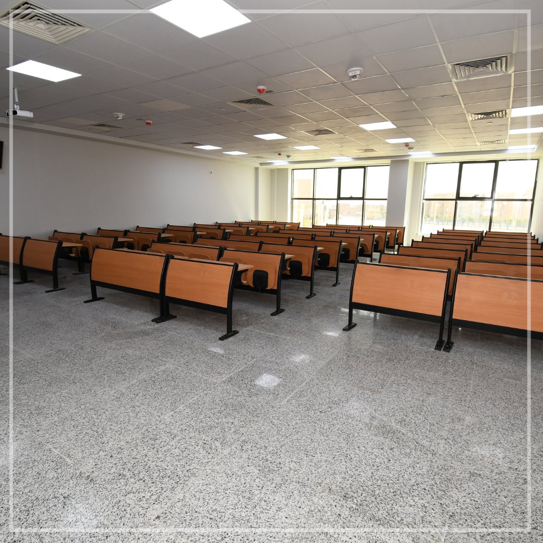 جامعة ميريت