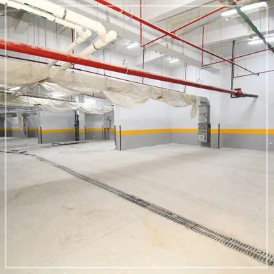 كلية العلاج الطبيعي – جامعة ميريت